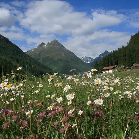 アパート Renate - Silvretta Sommercard Inklusive Galtür