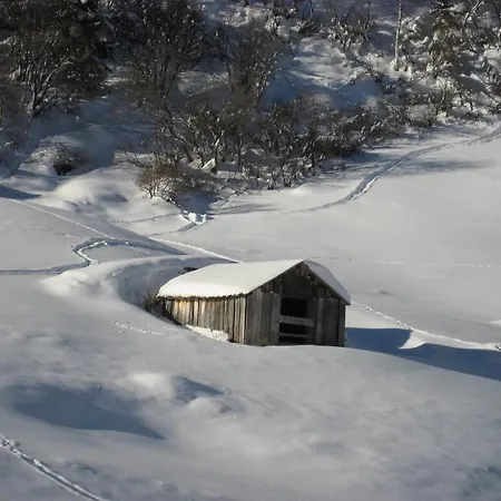 Renate Διαμέρισμα *