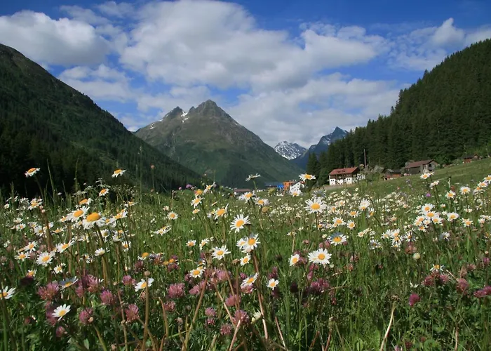 דירה Renate - Silvretta Sommercard Inklusive גלטור